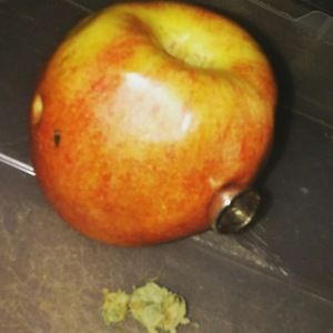 Meet your Posher, The stoner